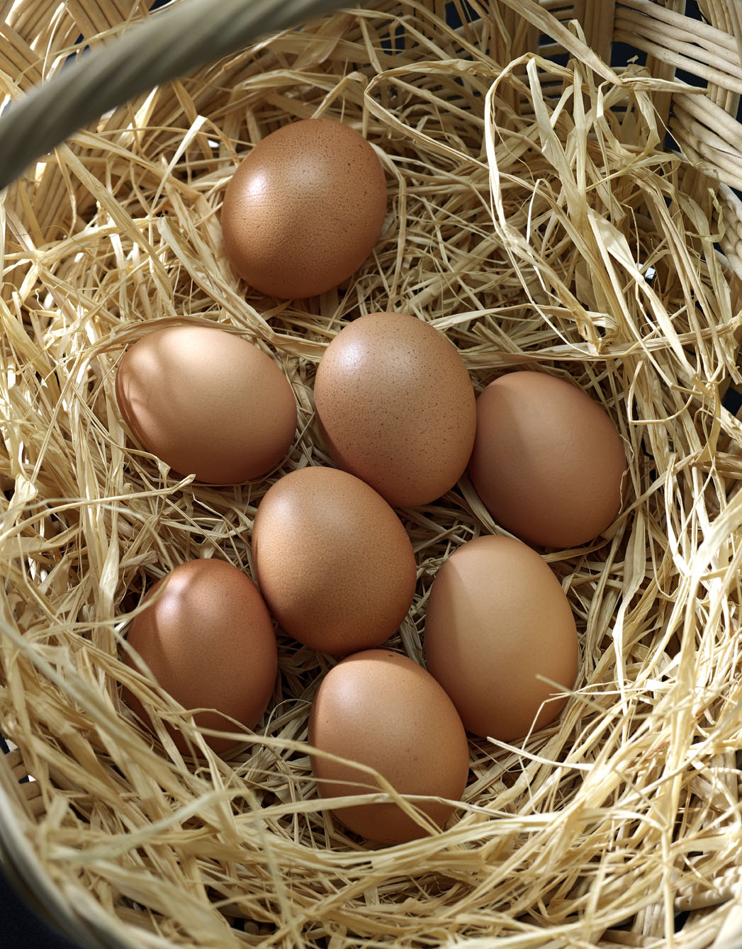 NUTRITIONSINGREDIENSER